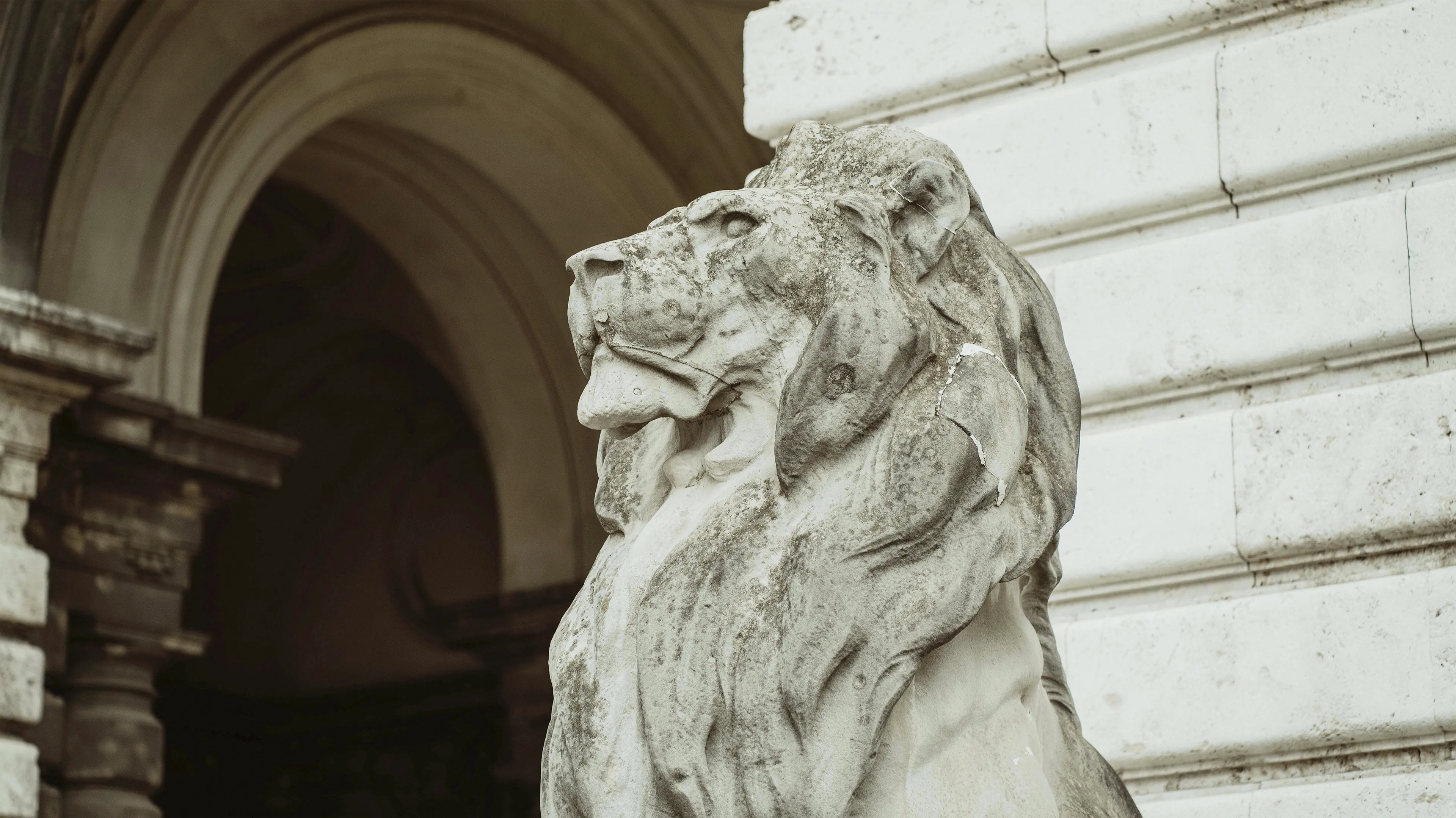 Picture of a lion statue.