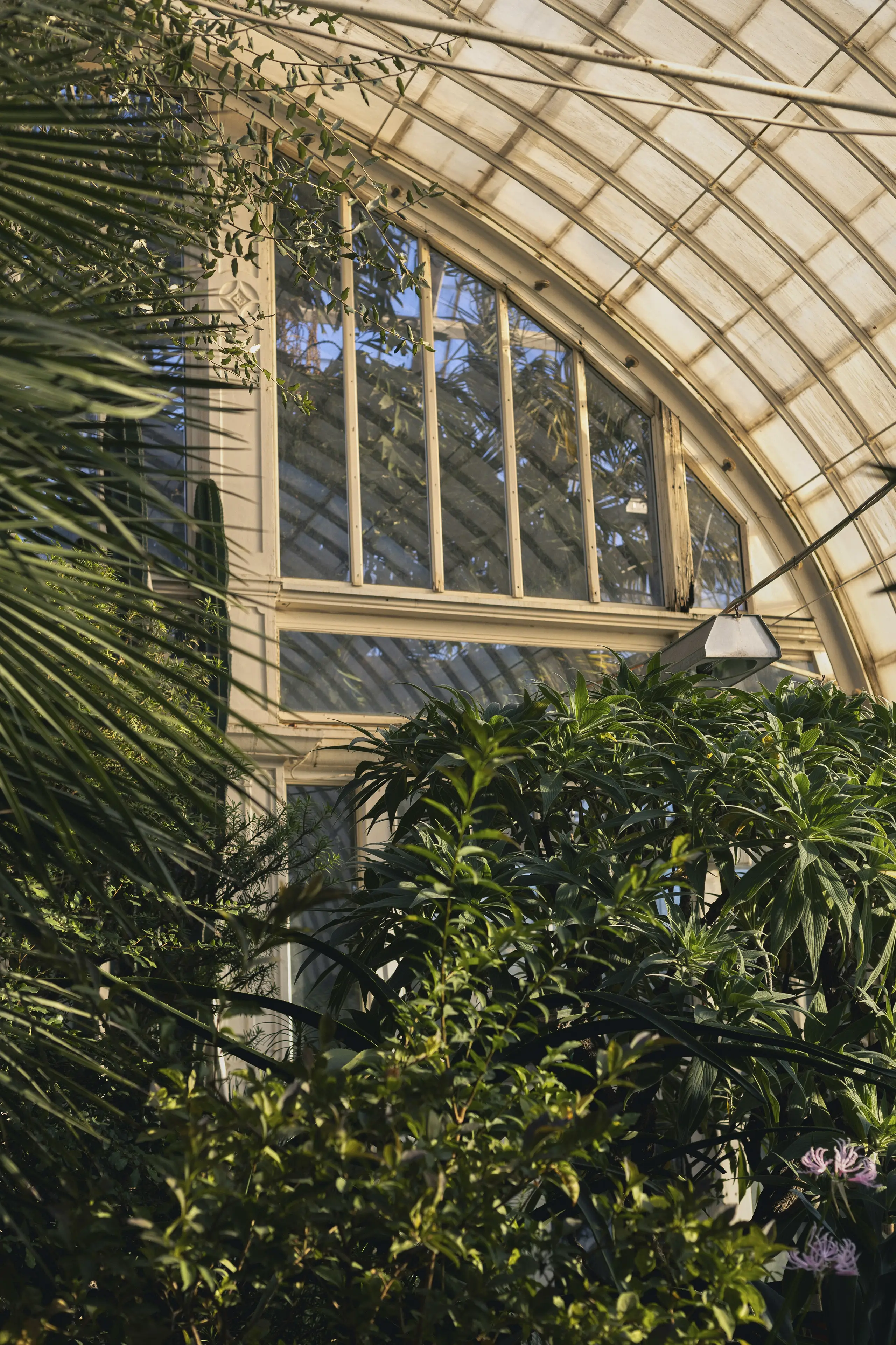 Picture of a lion statue.